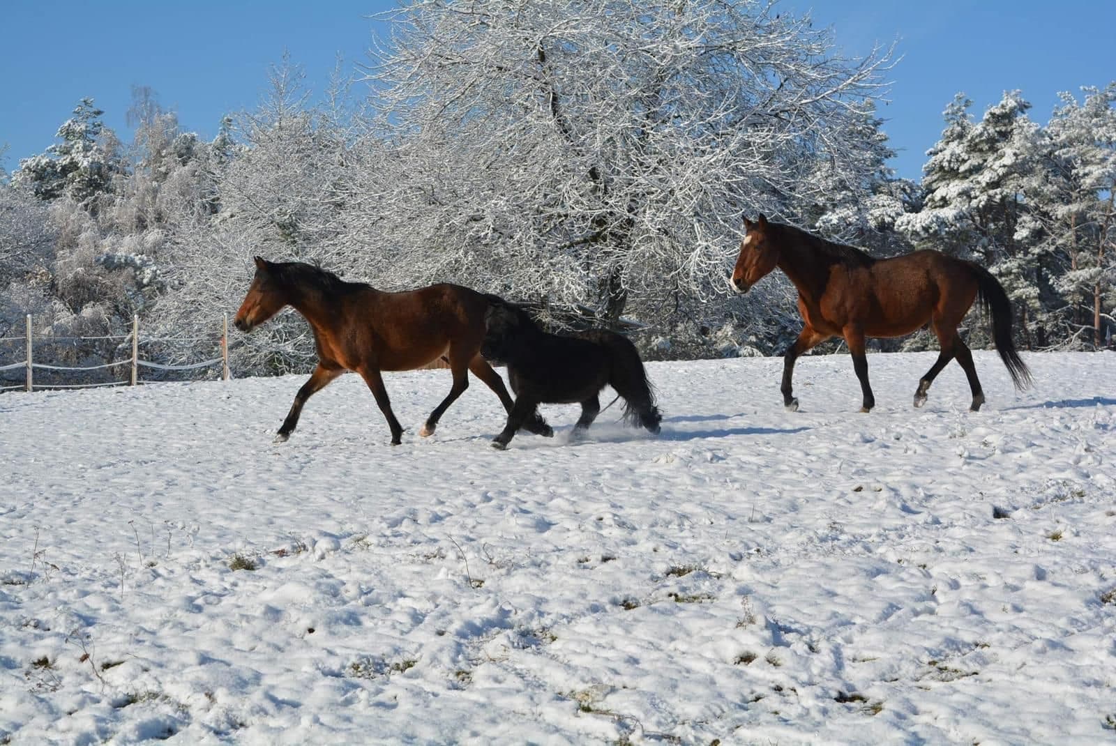 Photo du parc de loisirs Evad'Parc à Montenois
