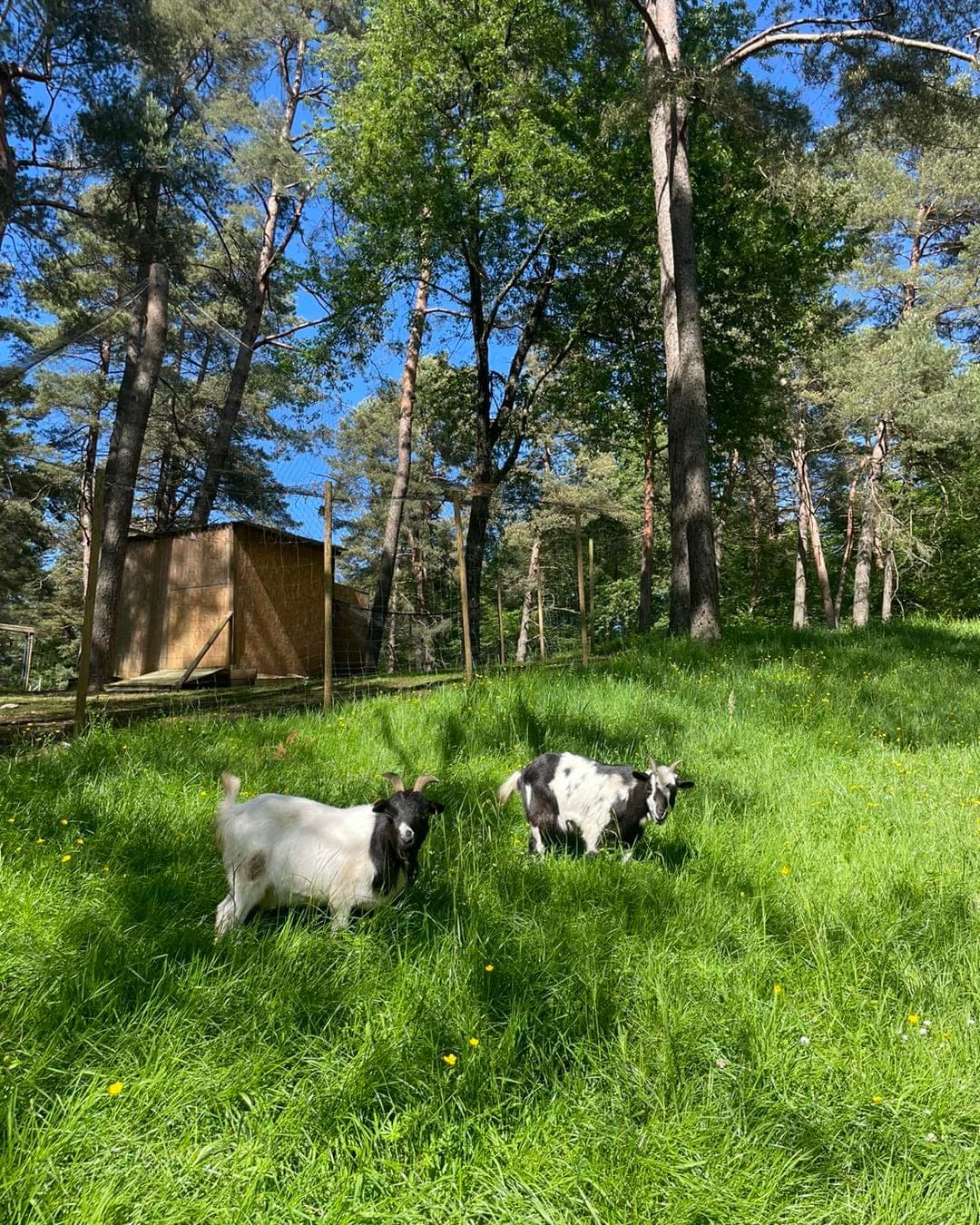 Photo du parc de loisirs Evad'Parc à Montenois