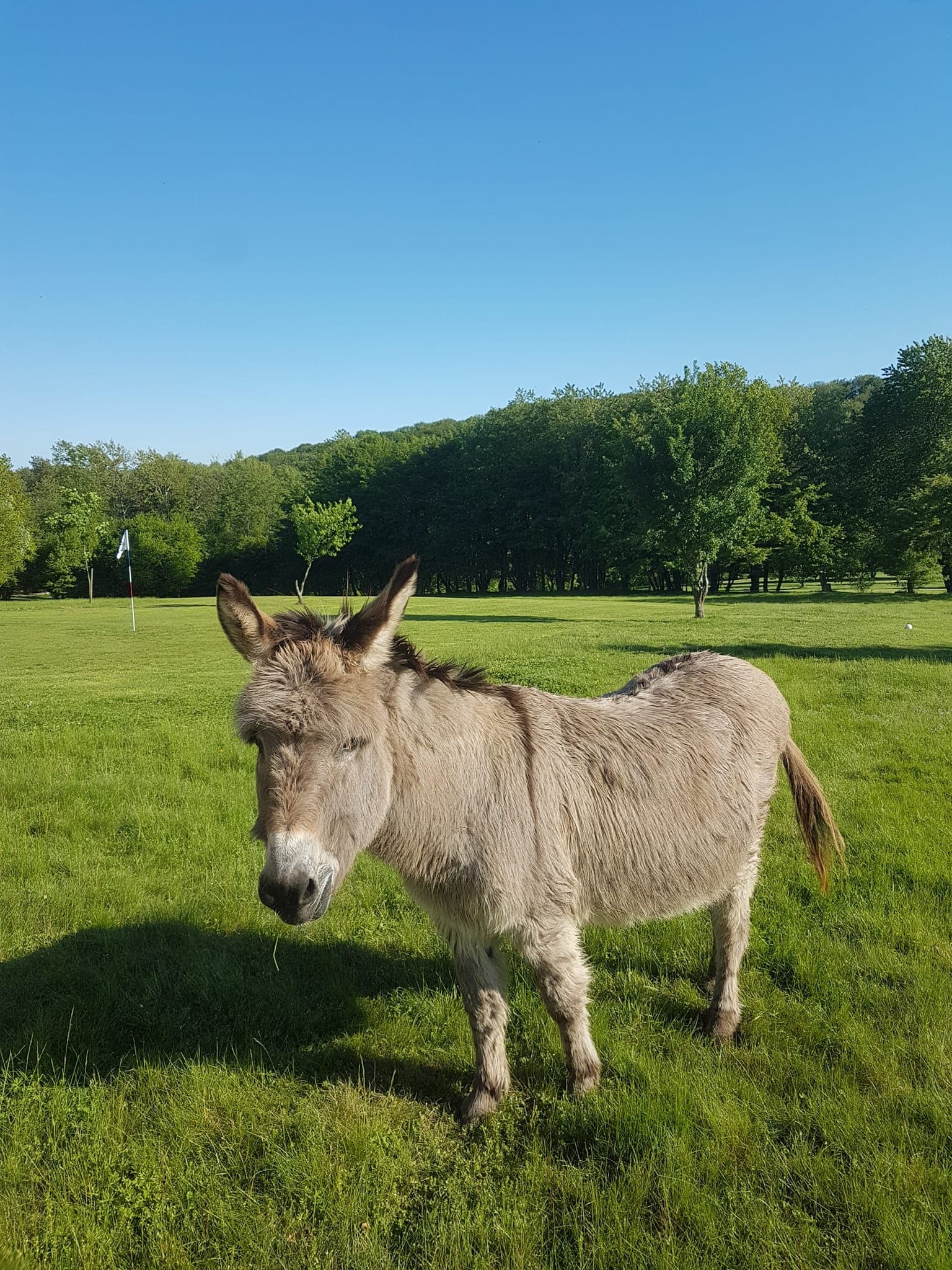 Photo du parc de loisirs Evad'Parc à Montenois