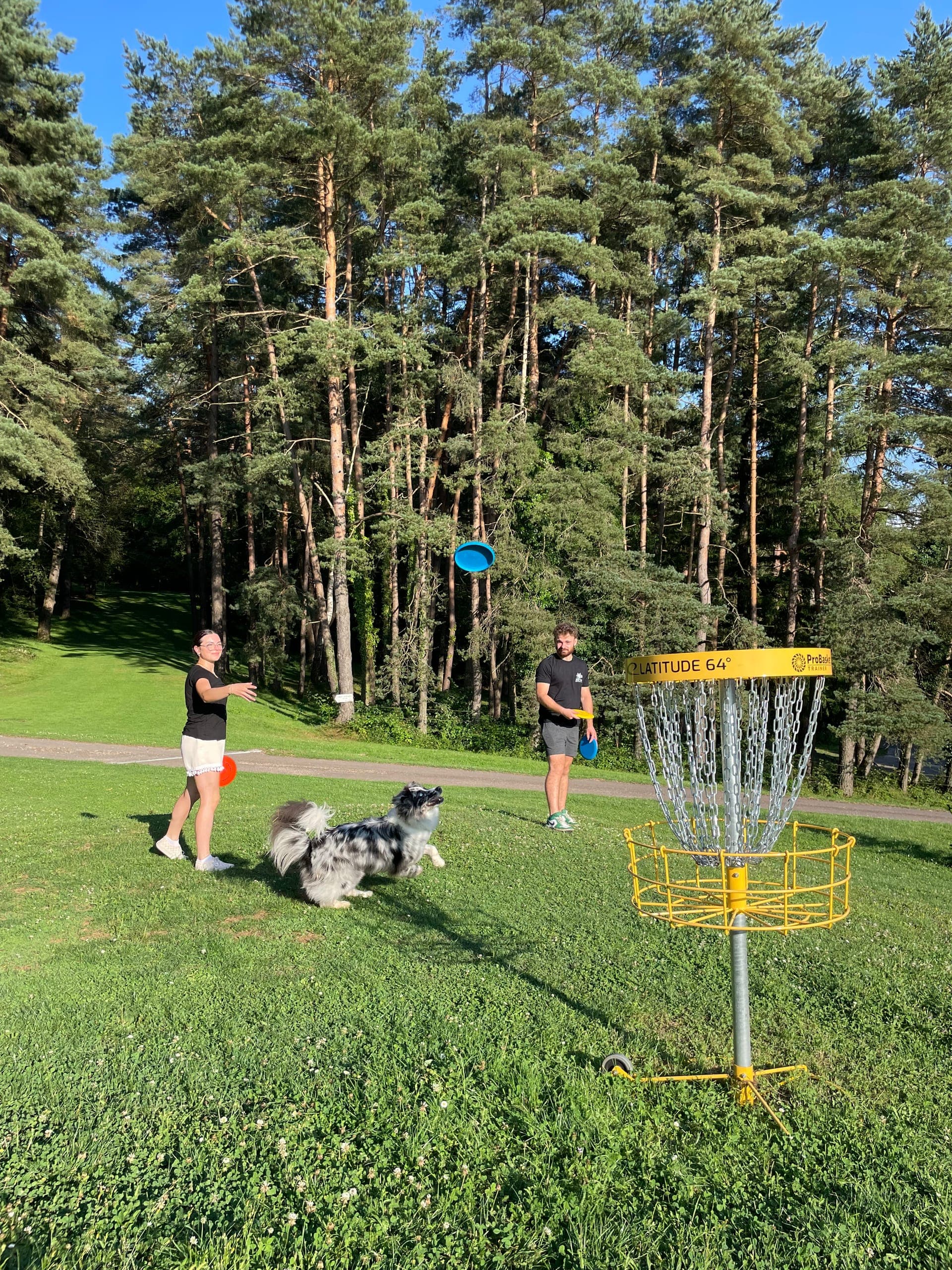 Activité Discgolf à Evad'Parc